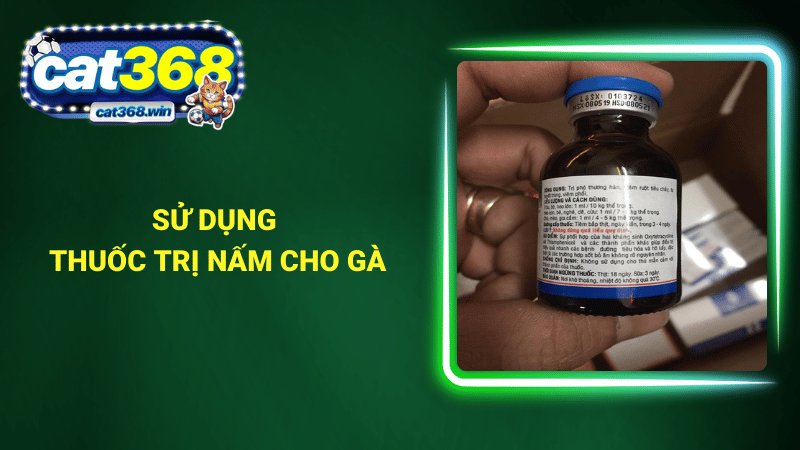 Sử dụng thuốc trị nấm cho gà