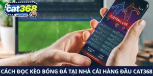 cách đọc kèo bóng đá