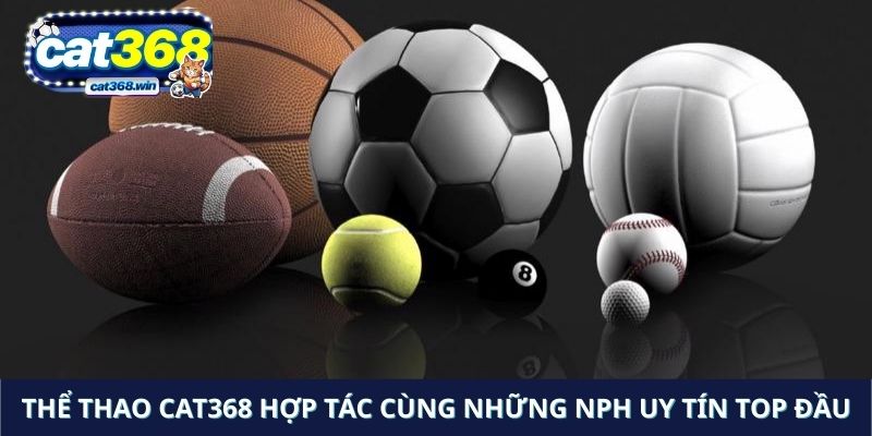 Thể Thao Cat368 hợp tác cùng những NPH uy tín top đầu
