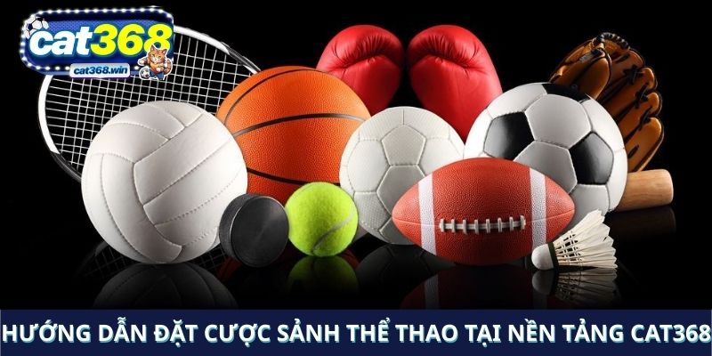 Hướng dẫn đặt cược sảnh thể thao tại nền tảng Cat368