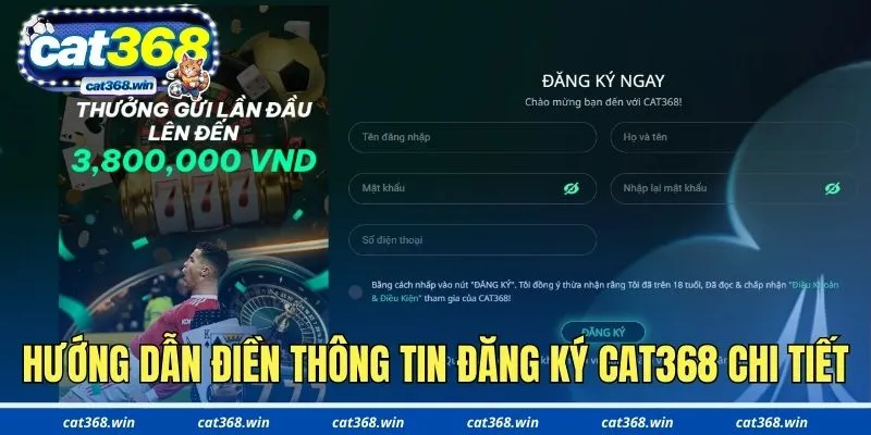 Hướng dẫn điền thông tin đăng ký Cat368 chi tiết