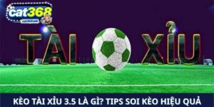 Kèo tài xỉu 3.5 là gì