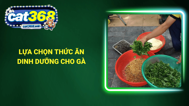Lựa chọn thức ăn dinh dưỡng cho gà bị té gió