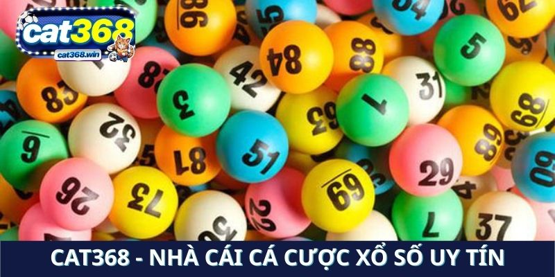 Cat368 - Nhà cái cá cược xổ số uy tín