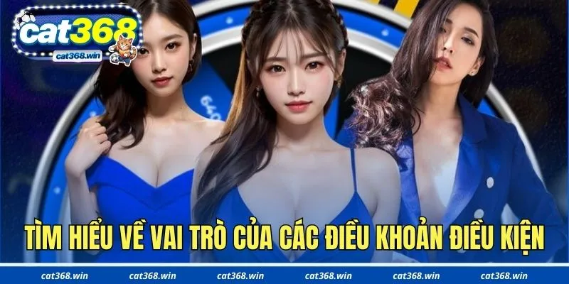 Tìm hiểu về vai trò của các điều khoản điều kiện