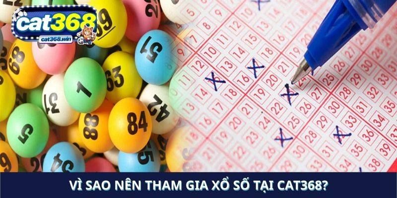 Vì sao nên tham gia xổ số tại Cat368?